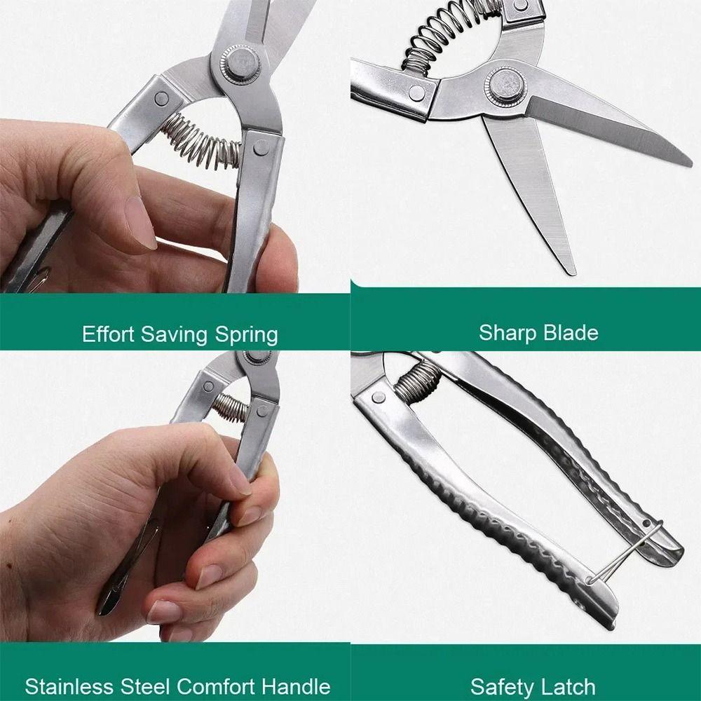 with Automatic Return Spring Branch Shears Stainless Steel Garden Branch Shear Hand Tools