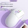 Silent RGB Luminous Wireless Gaming Mouse with Macro Programming