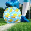 Tweety Bird Theme Size 5 Soccer Ball, Suitable for Both Indoor and Outdoor Matches, a Gift Suitable for Everyone.