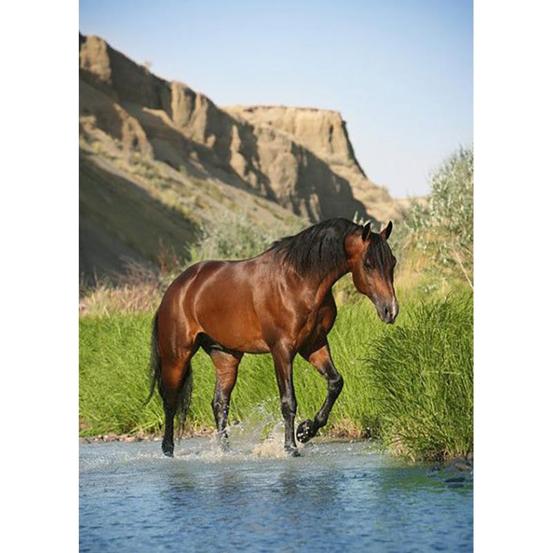 5D DIY Diamond Painting Animals Horse Cross Stitch Kit Full Round Drill Embroidery Mosaic Art Picture of Rhinestones Decor Gift