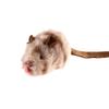 Игрушечные игрушки