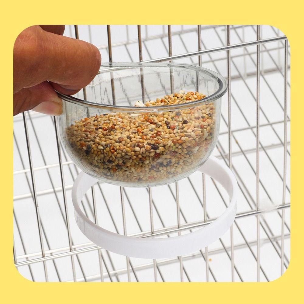 Detachable Parrots Food Cup Transparent Bird Feeder Sturdy Bird Food Dispenser Pigeons