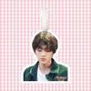 Бирка для багажа Wang Junxi: Подвеска для рюкзака и брелок-украшение, Сувенир TF Family 4-го поколения