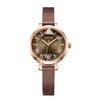 Julishi Women's Watch Fashion Trend New Versatile Simple Stainless Steel Strap Quartz Watch Waterproof Watch Women's Gift