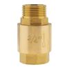 Heavy Duty Brass Inline Check Valves with Horizontal Spring Designs Backflow Preventer Valves for Pump Systems & Tanks
