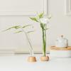 Test Tube Vase Glass Hydroponic Vase With Wooden Stand Desktop Transparent Tube