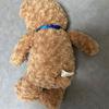 [USED] Honey Teddy Bear Plush Toy