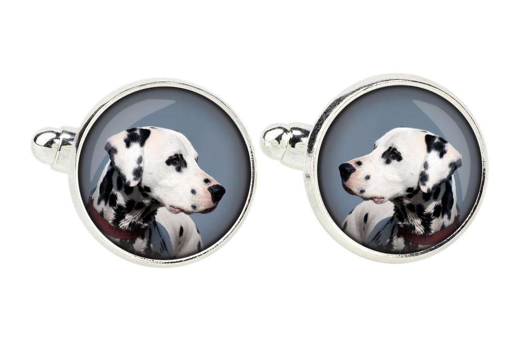 Dalmatian, Carriage Dog, Spotted Coach Dog - cufflinks and tie with your photo, a suit decoration, men's jewelry from the Art-Dog brand.