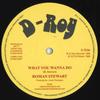 12-дюймовая пластинка ROMAN STEWART / REVOLUTIONARIES - What You Wanna Do / Rockers Delight none D Roy 1980 UK Регги, Ска и Даб