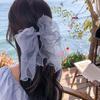 Ribbon Bowknot Hair Clips Barrettes Girls Headwear Sweet Spring Clip  Women Ponytail
