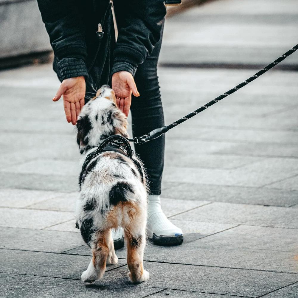 Товары для животных Поводок для собак со светоотражающими элементами, многоцветный прочный нейлоновый круглый поводок для больших и средних собак, удобная мягкая ручка