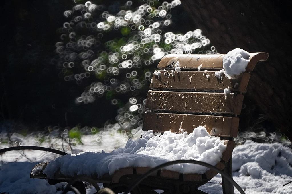 TOKINA SZ 500mm F8 Reflex MF Telephoto Mirror Canon Manual Interchangeable 640685 Lens, EF-M Mount, Focus, Mount, Full-Frame Compatible,