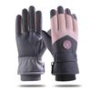 Ski Gloves Men's and Women's Autumn and Winter Windproof Waterproof Outdoor Riding Motorcycle Piled Thickened Warm Finger Gloves