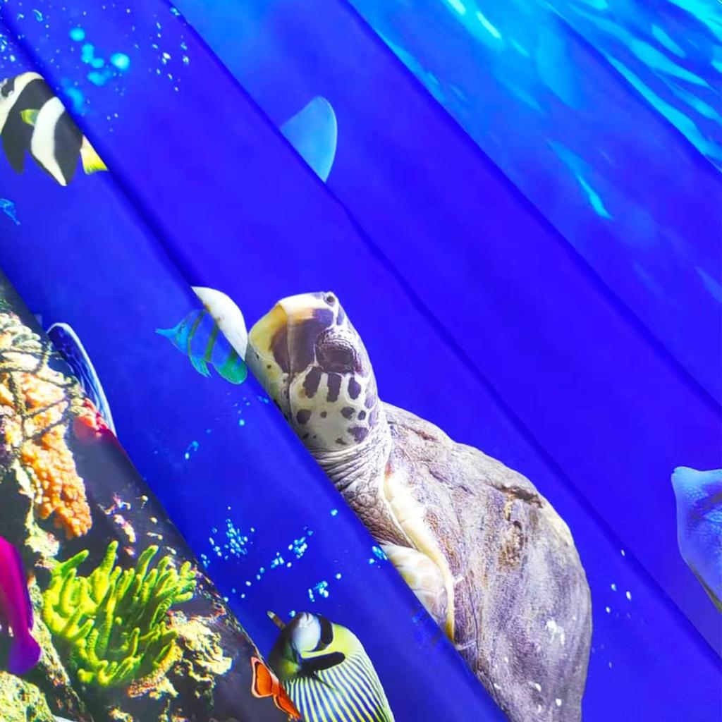 Океан Подводный Занавеска для душа - Красочные тропические рыбы и коралловый риф 72x72 дюйма, Водонепроницаемый декор морской жизни с 12 крючками