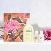 Летний подарочный набор для ухода за кожей Jurlique Rose