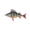 Dulton Fishes Perch 45 Fish Cushion for Everyday Life Large Body Pillow Marine Life Nordic FISHES Total Length 45cm Abborre/Perch/Perca Y-0508