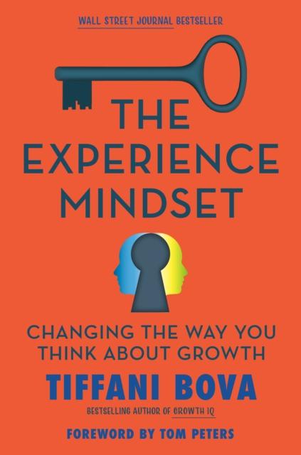 Книга The Experience Mindset : Changing the Way You Think About Growth