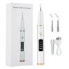 Electric Ultrasonic Scaler for Teeth Whitening Cleaning Dental Calculus Plaque Remover Tartar Eliminator Dental Stone Removal