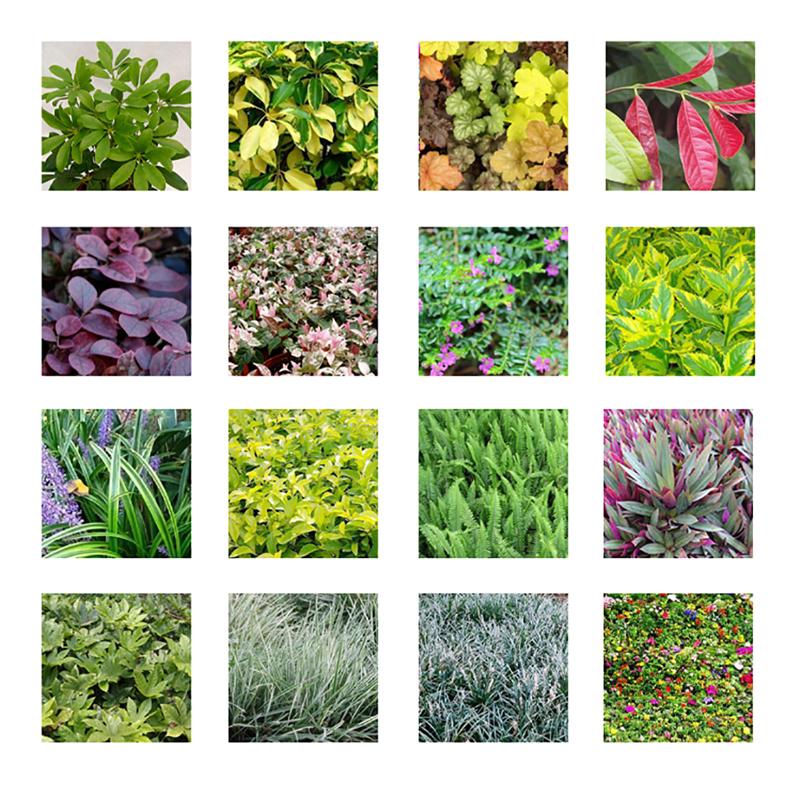 Сад Открытый Стена Растения Цветочный Горшок Контейнер Настенный Висит Вертикальный Зеленый