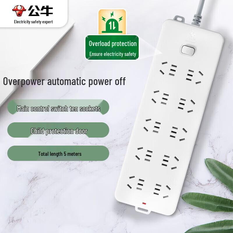 Gongniu GN-218 10-Outlet Power Strip with Master Switch