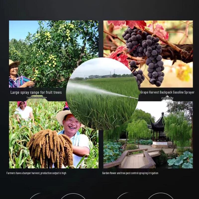 Xijiaer GX35 20L Backpack Gasoline Sprayer CN plug (adapter included)