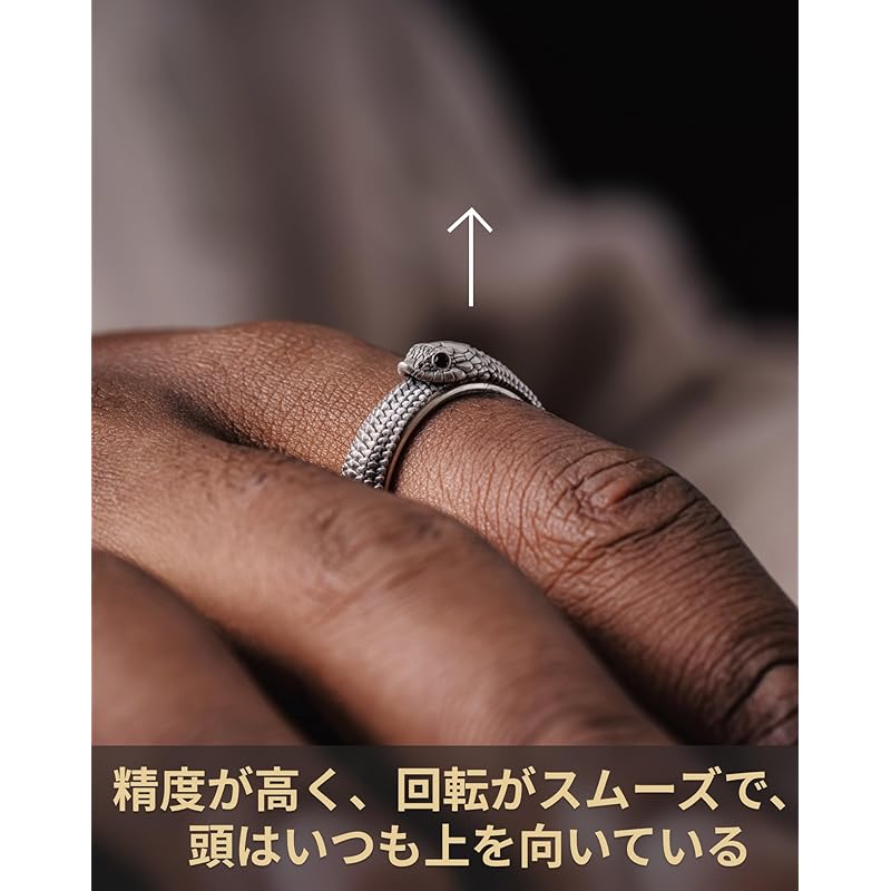 [COPPERTIST.WU] Rotating Ring Ring Men's Ring Pig-nosed Snake Ouroboros Silver 925 Compatible with Metal Allergies Ring That Can Be Rotated Stress
