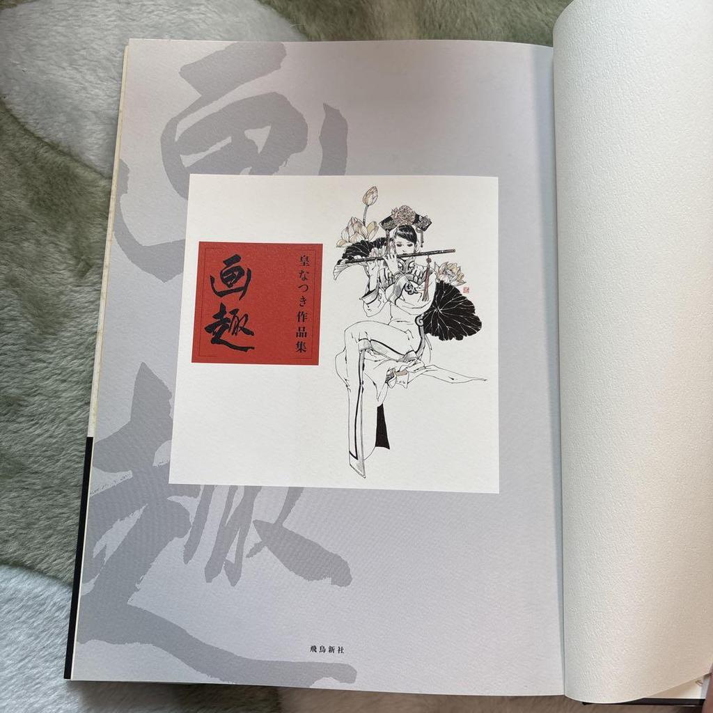 [Б/У] Художественный интерес: Коллекция работ Сумераги Нацуки