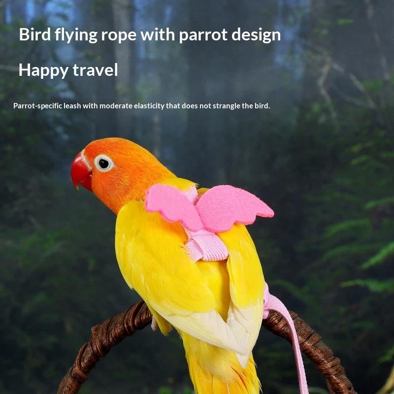 Random Adjustable Parrot Bird Harness Leash Set Anti-Bite Training Harness Parrots Outdoor Flying Rope