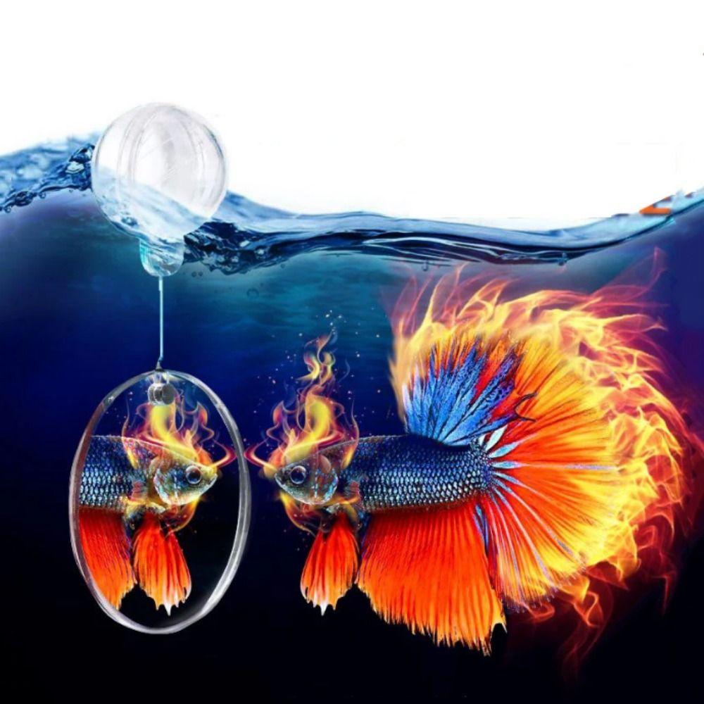 Круглое зеркало для аквариума Петушок Декоративное плавающее зеркало для аквариума Зеркало для игры рыб Игра