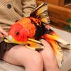 50 см Имитация Золотой Рыбки Плюшевая Кукла Подушка Красно-Черный Узор Золотая Рыбка Морское Животное Плюшевая Игрушка Декор для Дома Подарок Для Детей