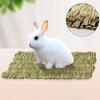 Домашние аксессуары для питомцев Плетеная спальная лежанка для хомяка Подстилка для клетки питомца Травяной коврик-грызунок для кролика Травяной коврик