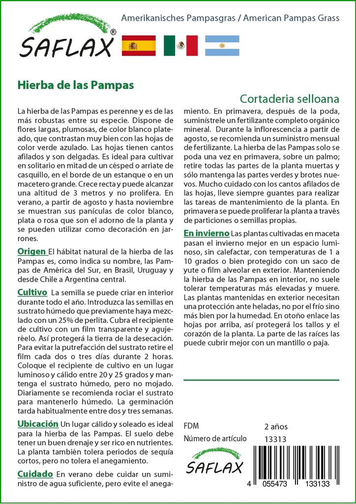 SAFLAX Garden in the Bag - Трава американской пампасы - 200 семян - С субстратом в подходящем мешке - Cortaderia Selloana