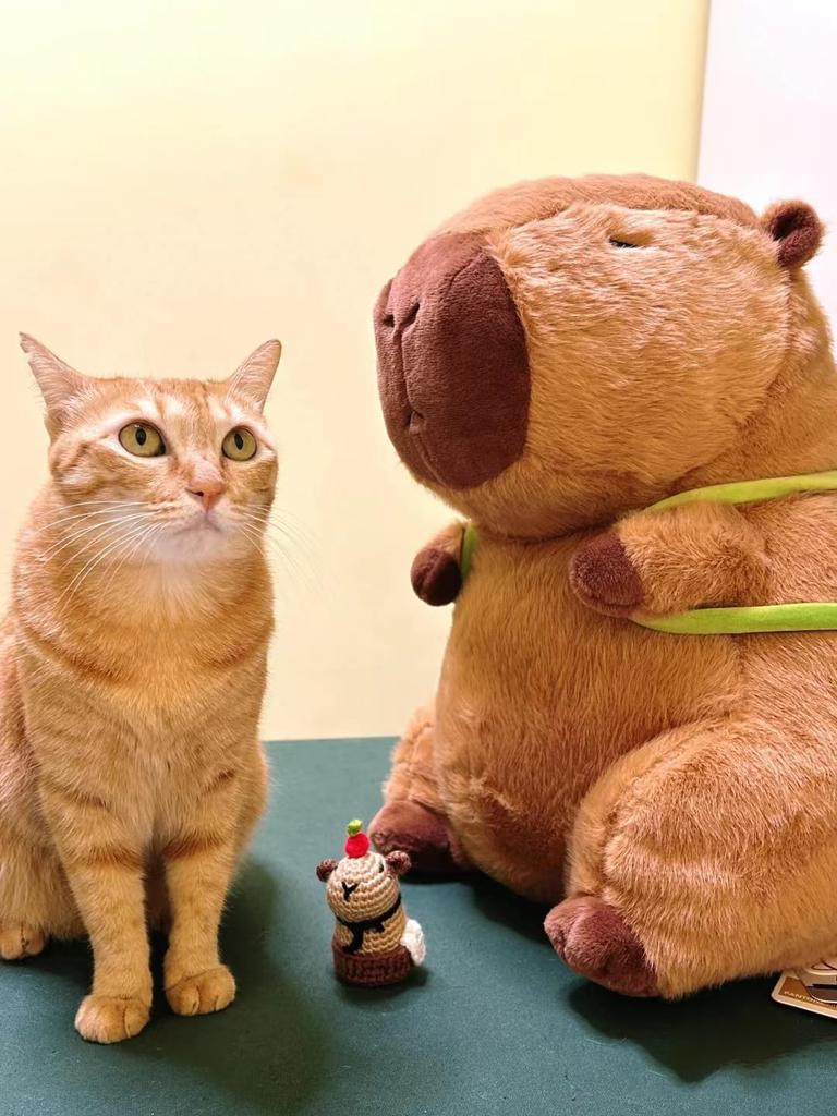 REDICE Capybara Plush Portable Stuffed Gentle On the Skin Softness Squishy Capybara Plush Christmas Gift Toy, Animal, [Authentic] [2025 Improved] Toy,