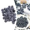 Blueberries Fruit Home Decor Kitchen Display Offices