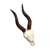 Eye Catching Animal Garden Decors Charm Artistic Animal Skull Craft Realistic Animal Head Animal Skull Craft for Wall