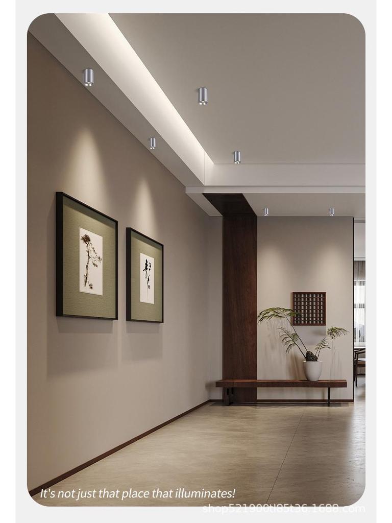 Surface-Mounted Cylinder Spotlight, Anti-Glare Honeycomb, Full Spectrum, Ceiling Light for Bedroom and Living Room.