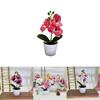 Butterfly Orchid Fake Flower Pot Plant For Event Decorations And Photography Sessions