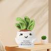 Crocheted Doll Cactus Succulent Doll with Cheer-up Card Tabletop Ornament Positive Crochet Figurine