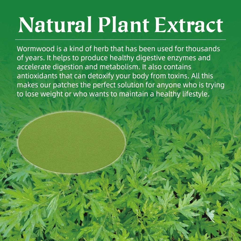 Moxibustion Slimming And Shaping Waist Lazy Person Patch