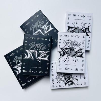 Stray Kids Domin ATE Альбом Версия Nemo. Kpop альбом