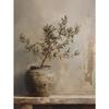 Retro Elegant Olive Tree and Lemon Canvas Poster Vase Wall Art Poster Perfect Gift for Living Room Bedroom Dormitory Home Decor