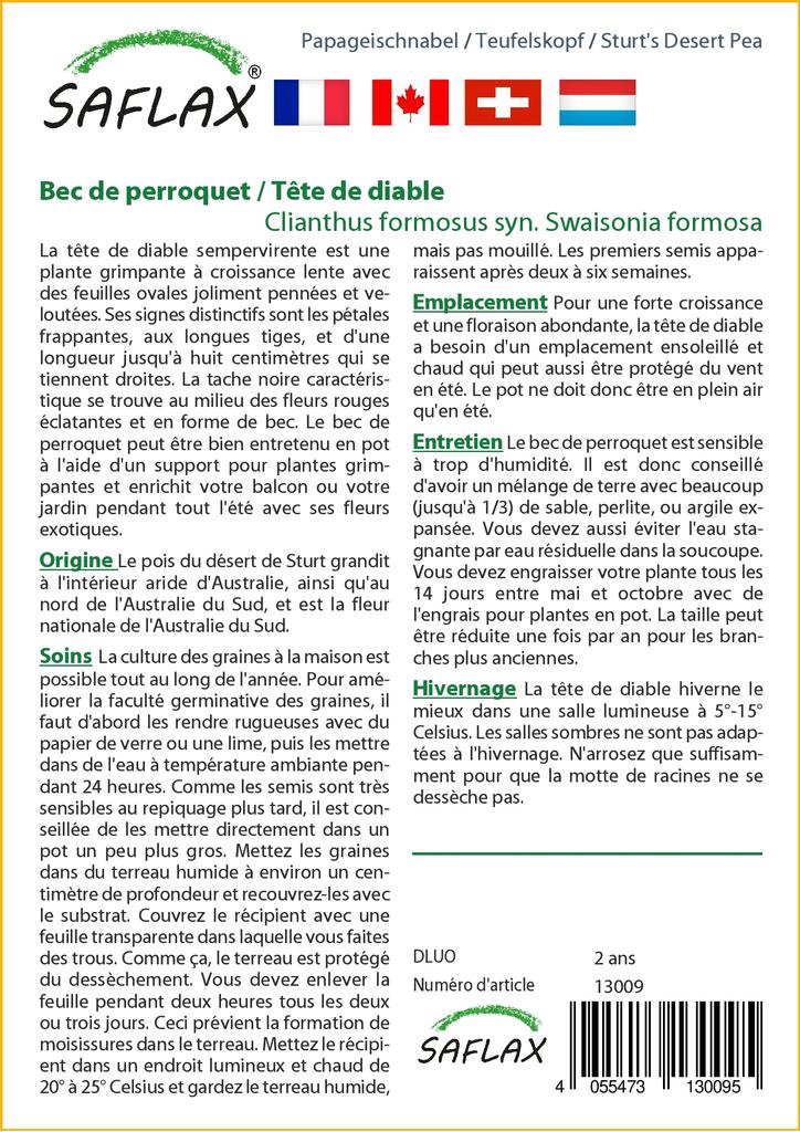 SAFLAX Горох пустынный Sturt's - 20 семян - Clianthus formosus