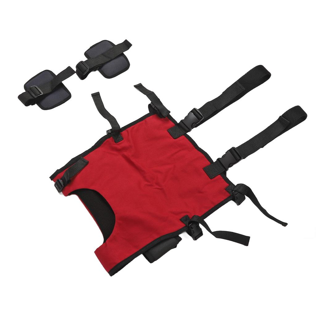 Toddler Walking Harness Standing Assistant Drop Support Adjust Size Walk Learning Helper for