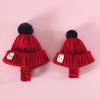 Knitted Dog Hat Cat Pompon Hat Winter Warm Hat with Ear Holes for Small