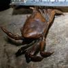 1 шт. Миниатюрная чайная фигурка-питомец Винтажный краб Модель животного Статуэтка Фигурка Антикварные металлические изделия Настольное украшение