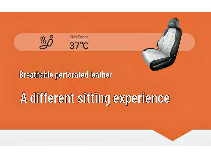 BYD Seal DMI Leather Seat Covers: Universal, Full Coverage & All-Season