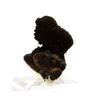 Goethite 766.1 carats