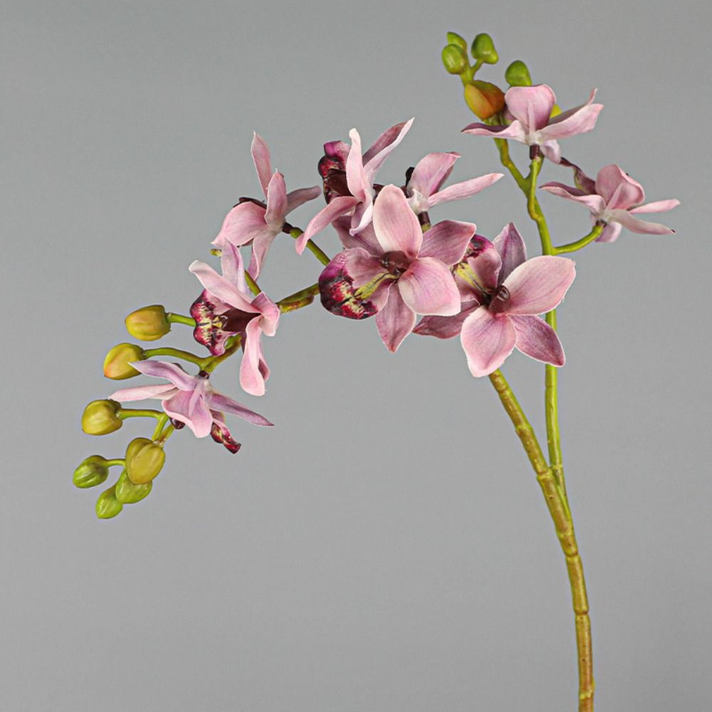 2 Fork Artificial Phalaenopsis Branches Real Touch Handmade Artificial Butterfly Orchid Flower Realistic Fake Flowers