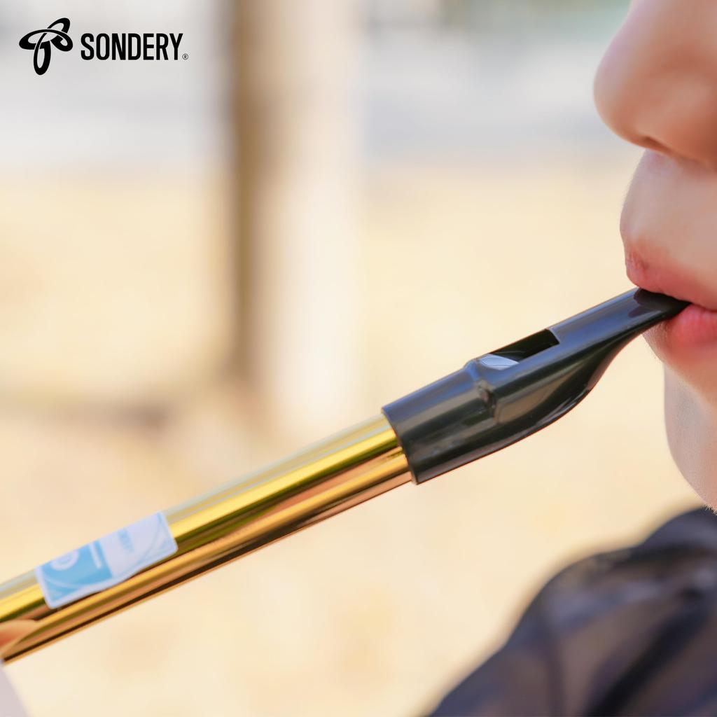 Свисток Sondery Tin Whistle из латуни D-образной формы, золотистого цвета