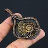 Ammonite Fossil Gemstone Pure Copper Wire Wrapped Handmade Pendant Jewelry